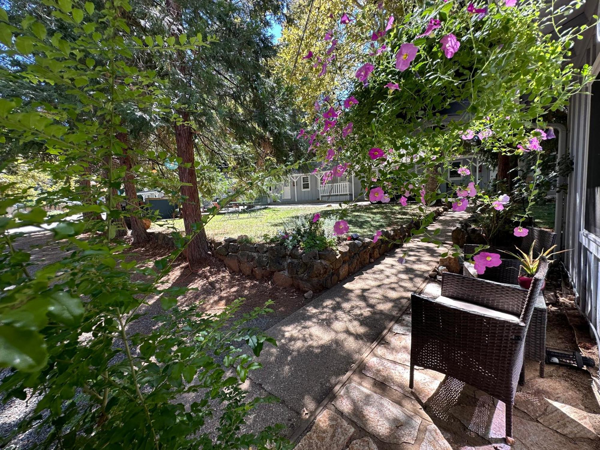 The Pines Inn And Cottages Грас Вали Екстериор снимка