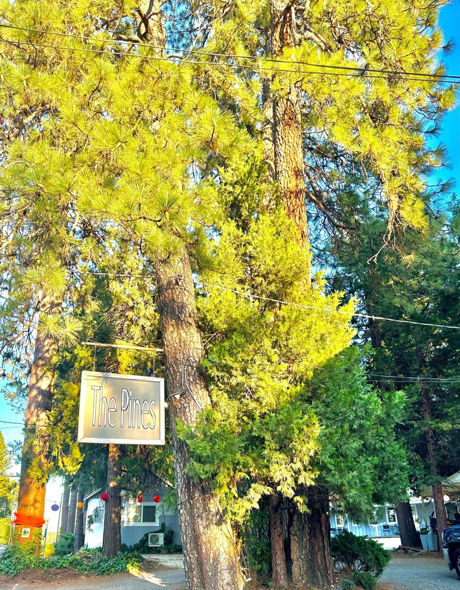 The Pines Inn And Cottages Грас Вали Екстериор снимка