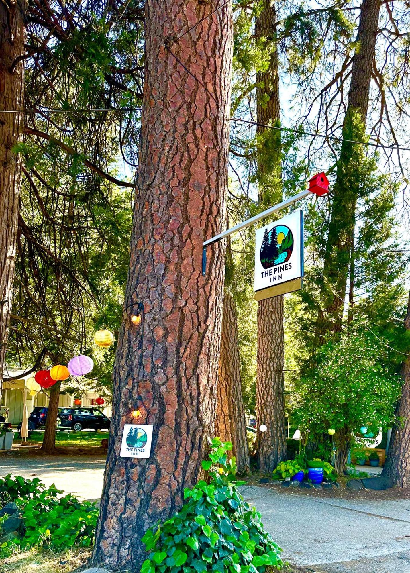 The Pines Inn And Cottages Грас Вали Екстериор снимка